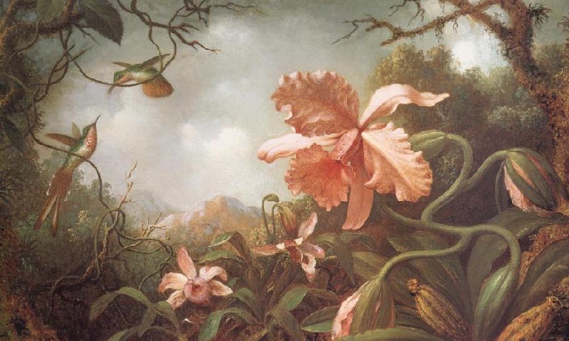 Martin Johnson Heade The Hummingbirds and Two Varieties of Orchids Norge oil painting art